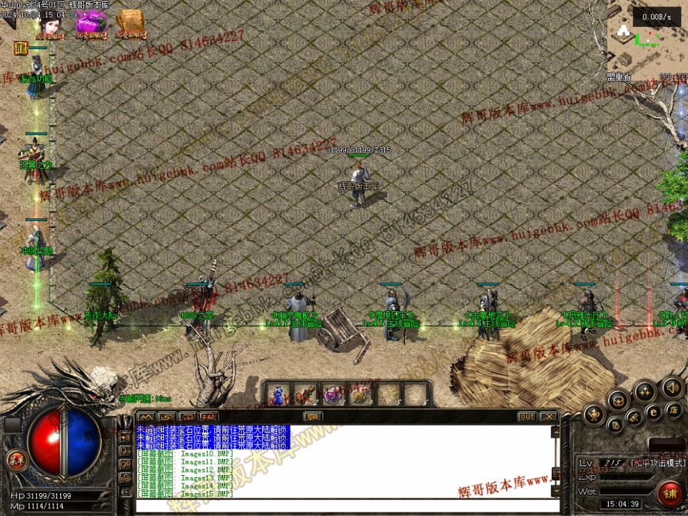 00017.jpg