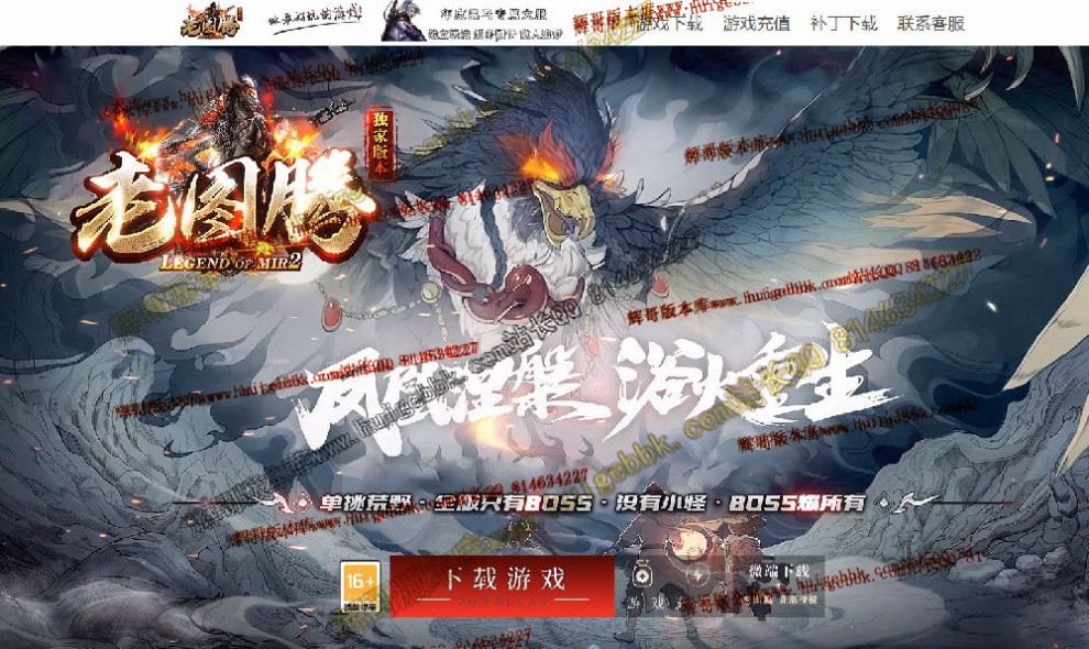 00113.jpg