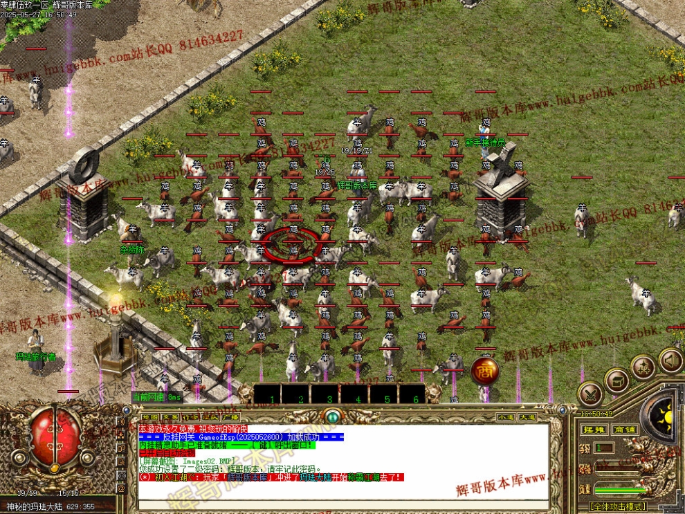 00005.jpg