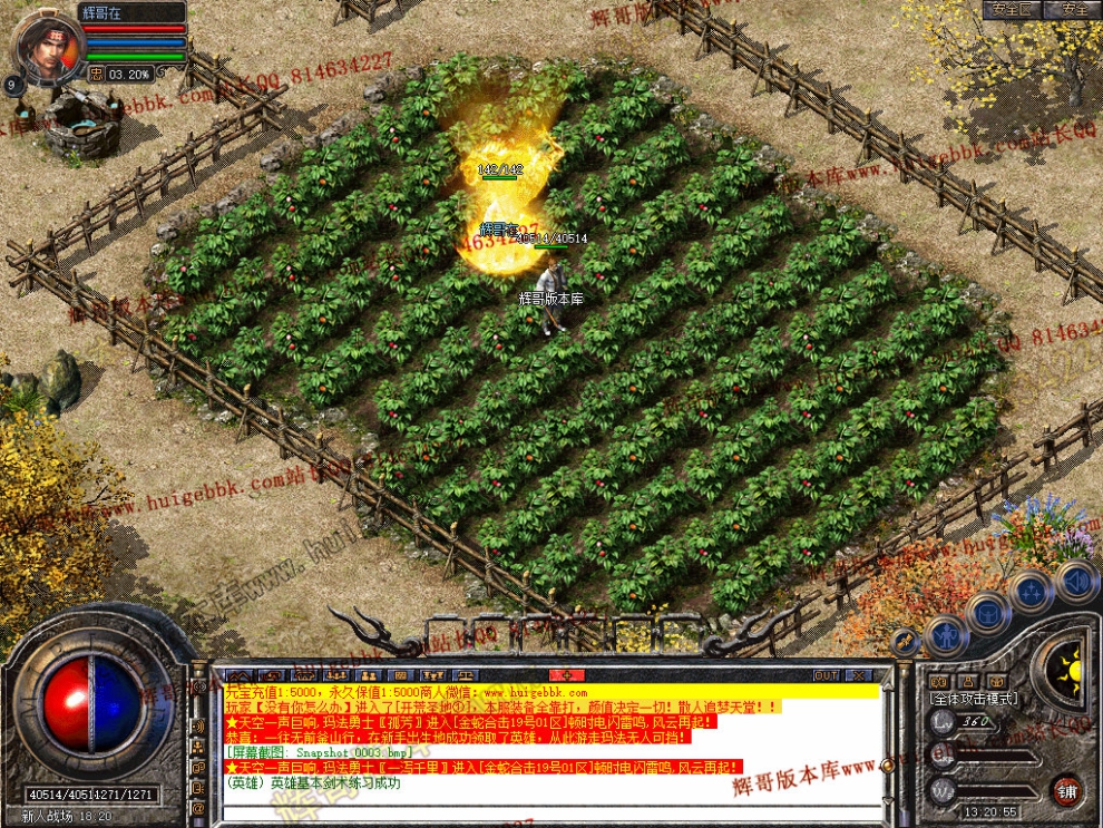 00005.jpg