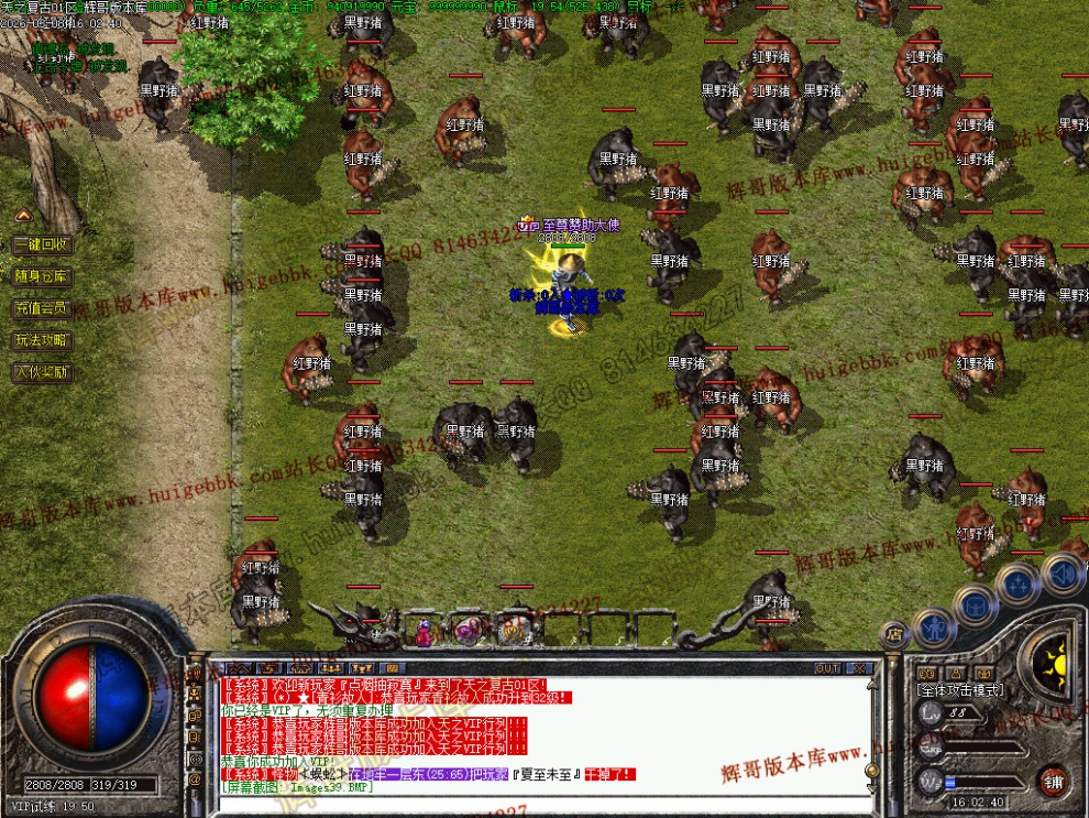 00041.jpg