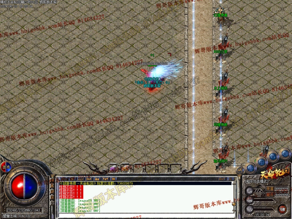 00012.jpg